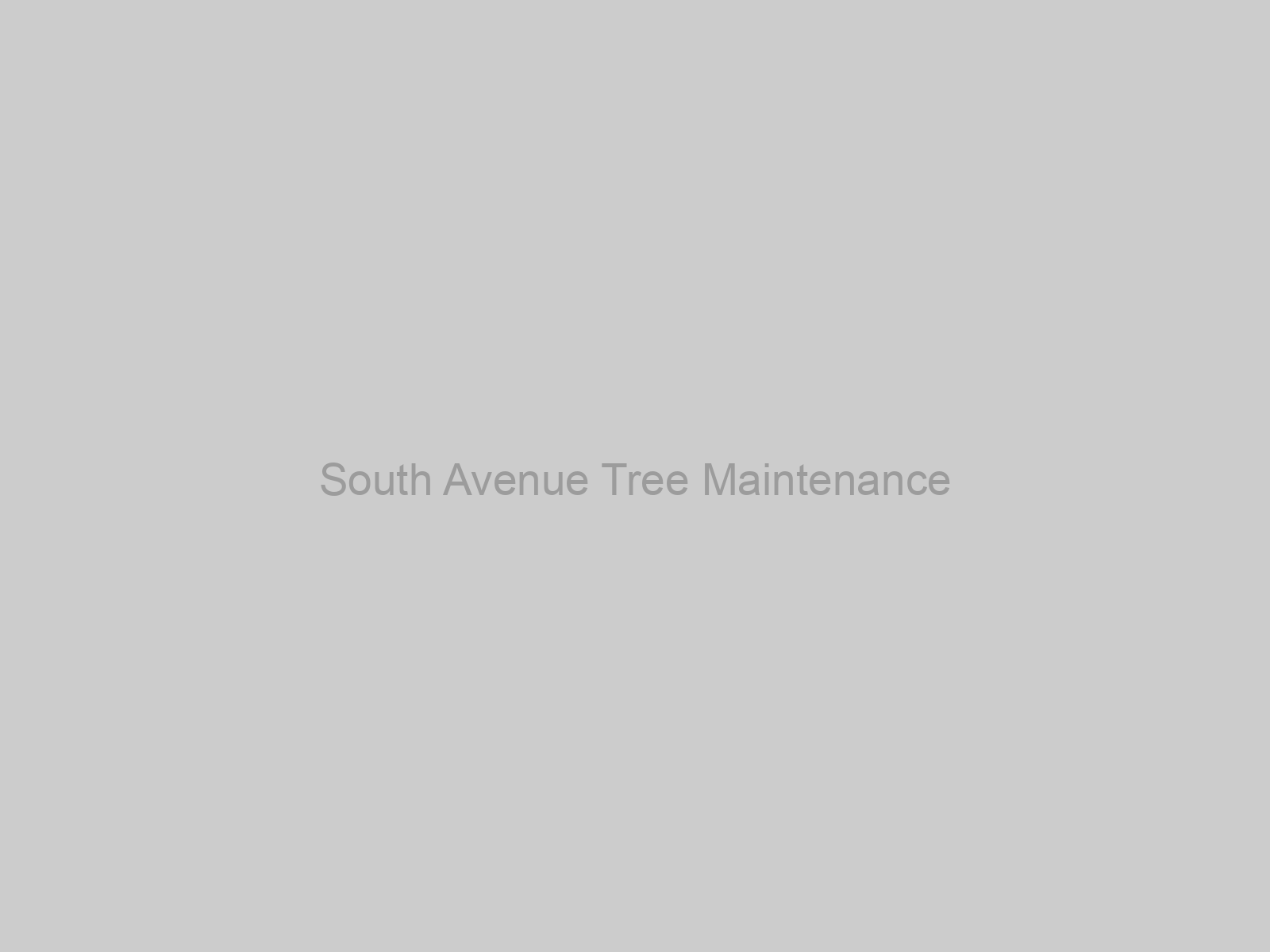 South Avenue Tree Maintenance